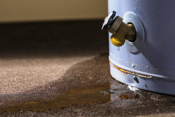 Professional Water damage restoration in Wayne, OH