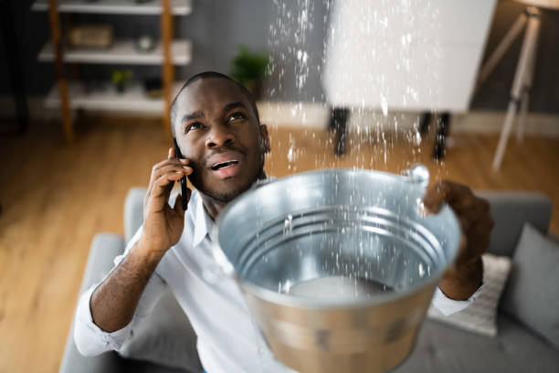 Best Residential water damage restoration  in Wayne, OH