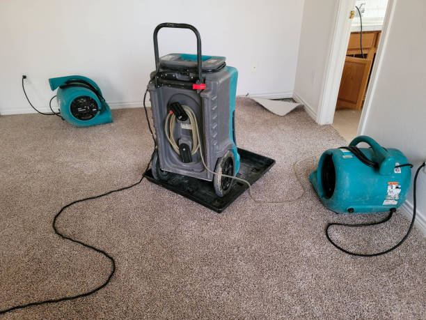 Reliable Wayne, OH Water damage restoration Solutions