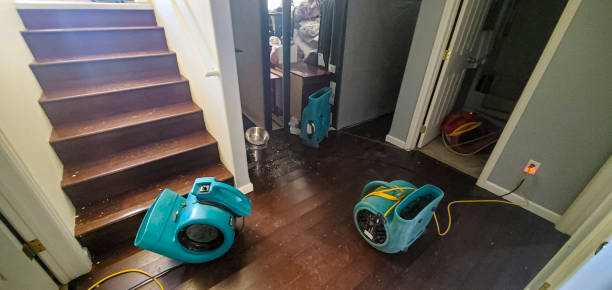 Best Local water damage restoration  in Wayne, OH