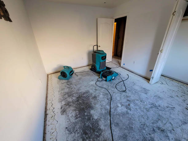 Best Emergency water damage restoration  in Wayne, OH