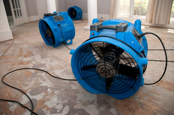 Best Water damage contractors near me  in Wayne, OH
