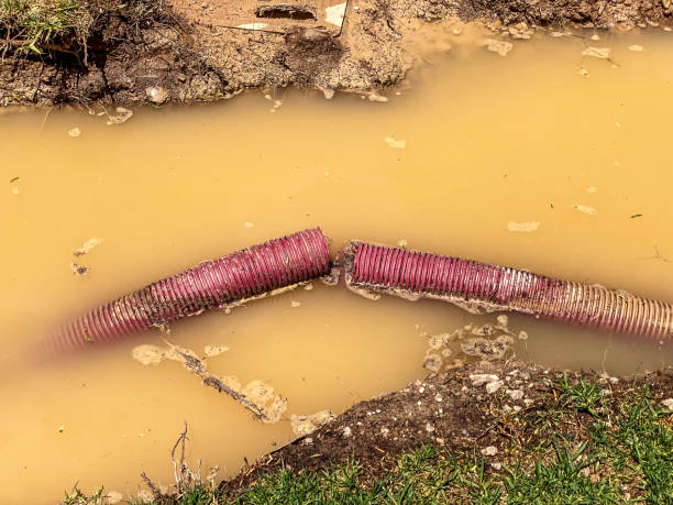 Wayne, OH Water damage restoration Pros